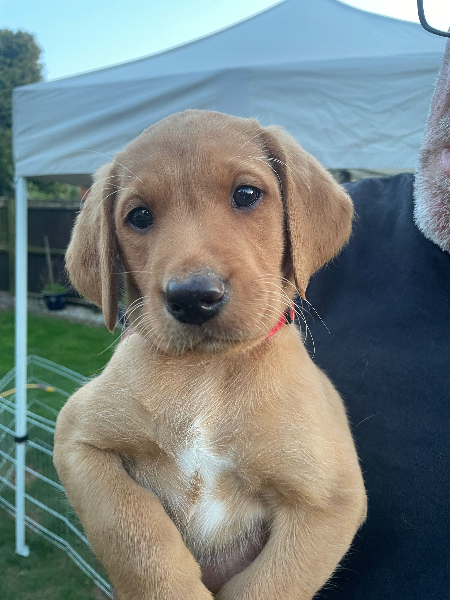 ea27432b-577a-47f3-9e66-9bb03bde4027